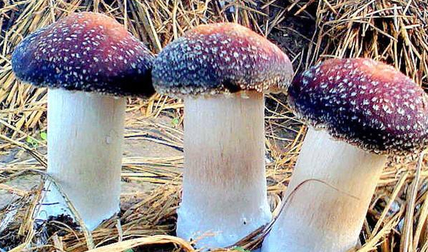 新聞動(dòng)態(tài)