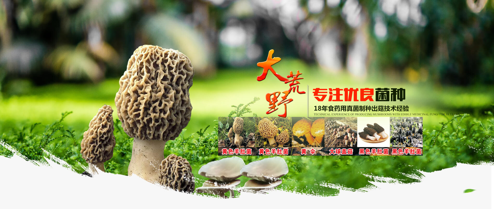 洛陽大荒野生態(tài)農(nóng)業(yè)有限公司