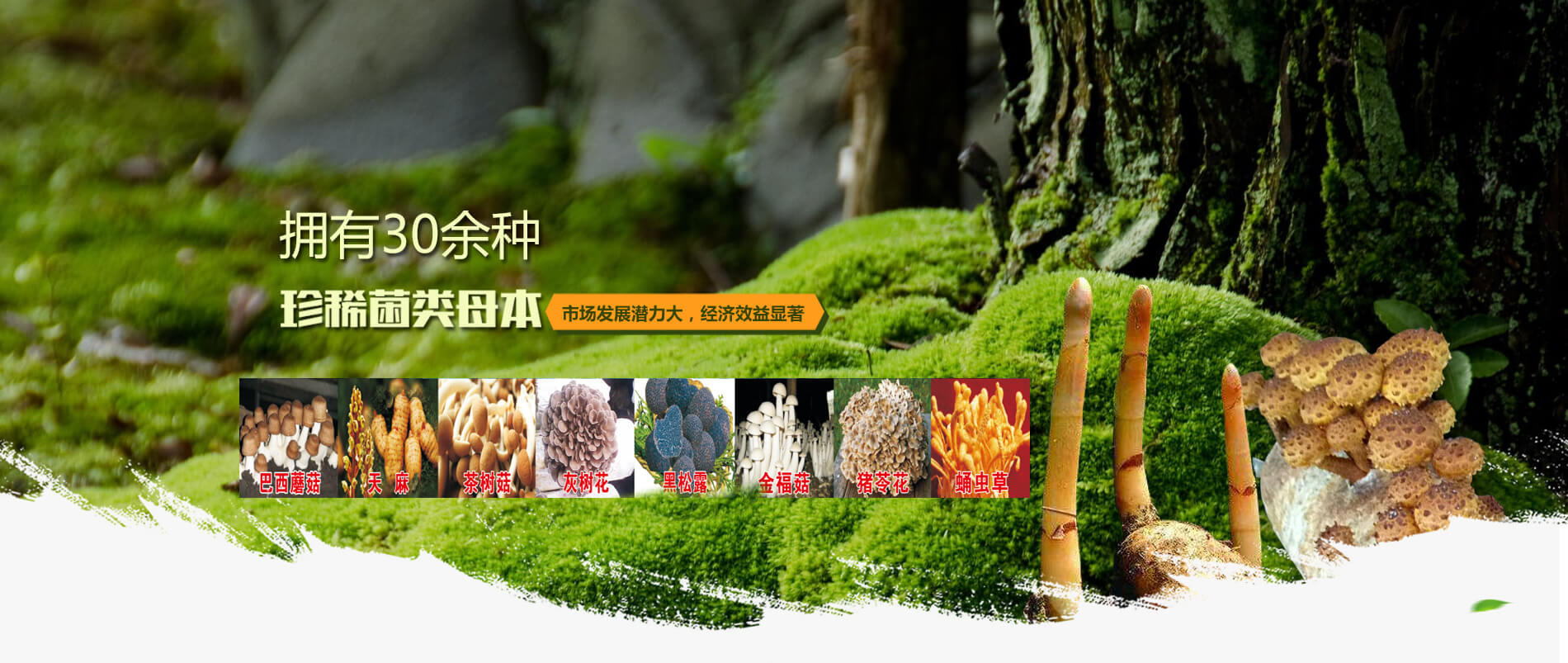 洛陽大荒野生態(tài)農(nóng)業(yè)有限公司