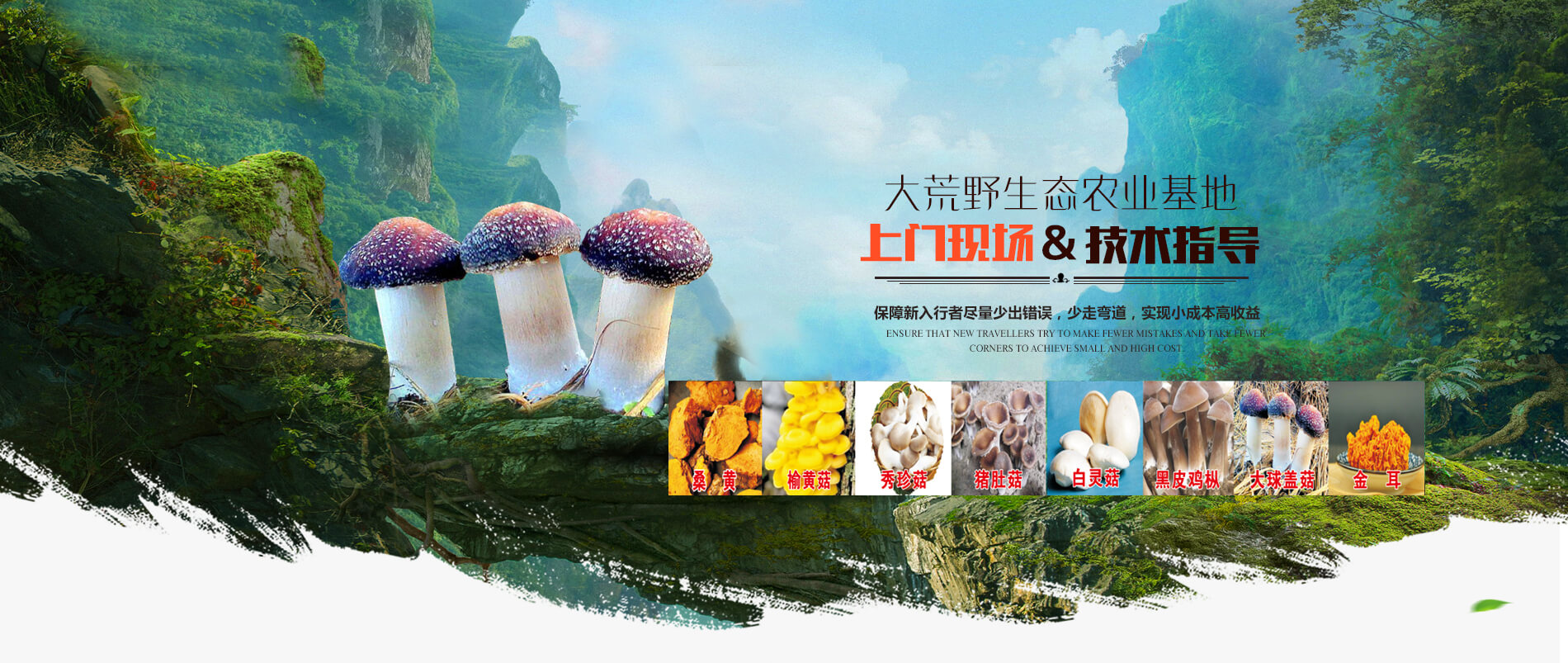 洛陽大荒野生態(tài)農(nóng)業(yè)有限公司