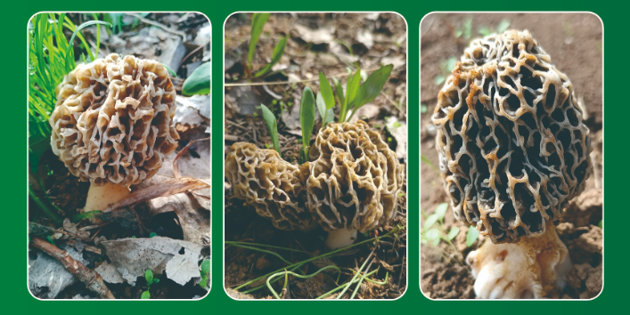 1722823249989261.png image.png